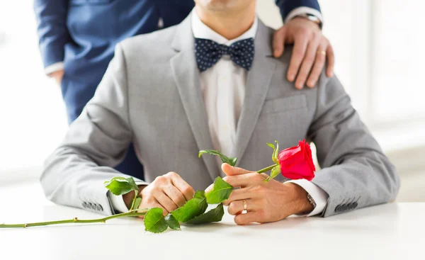 close up of male gay couple with wedding rings on