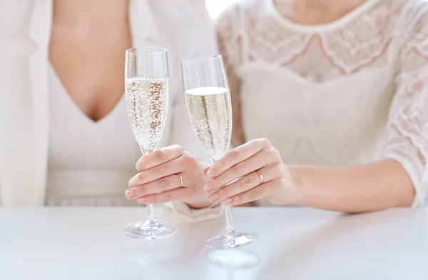 Close up of lesbian couple with champagne glasses — Stock Photo, Image