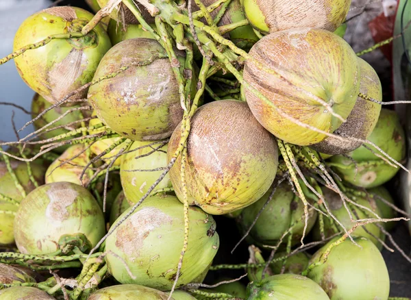 Water coconuts bunch — Stock Photo, Image