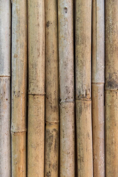 Бамбуковая текстура стен из тростника — стоковое фото