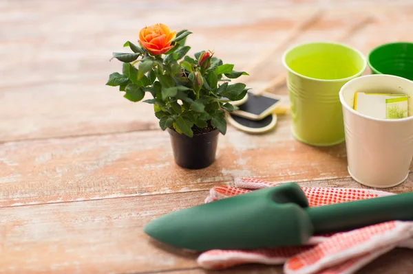 Close up of rose flower and garden tools on table — Stock Photo, Image