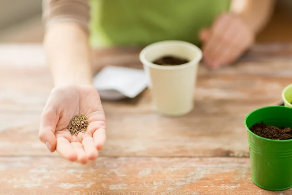 Close up of woman hand holding seeds — Stock Photo, Image