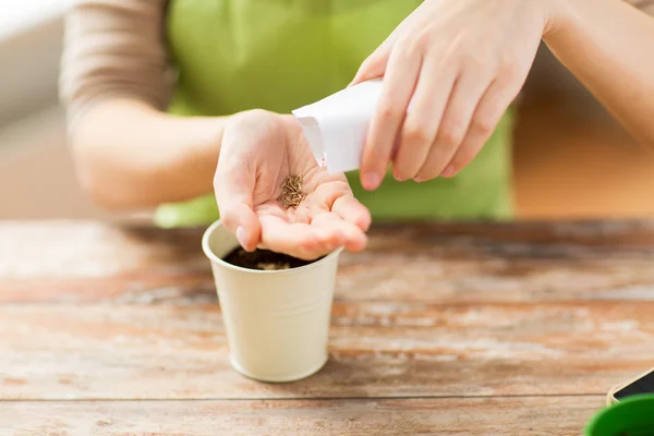 Close up of woman sowing seeds to soil in pot — Stock Photo, Image