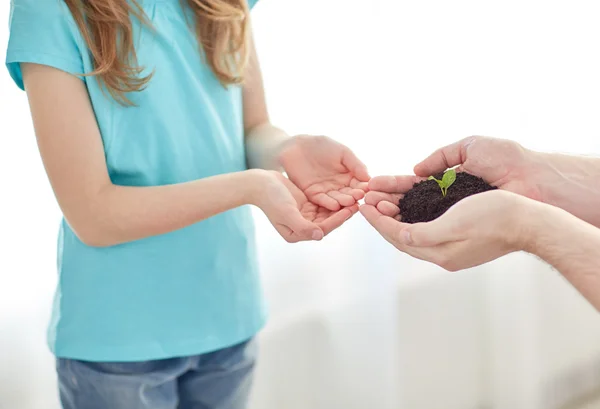 Close up of father and girl hands holding sprout — Stock Photo, Image