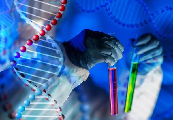 Perto do cientista que faz o teste no laboratório — Fotografia de Stock