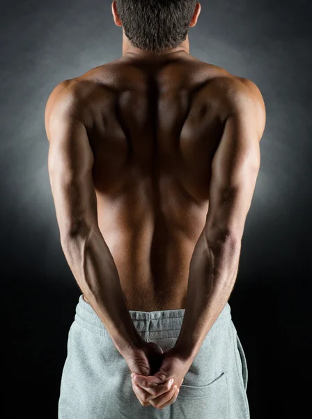 Genç erkek vücut geliştirmeci arkadan — Stok fotoğraf