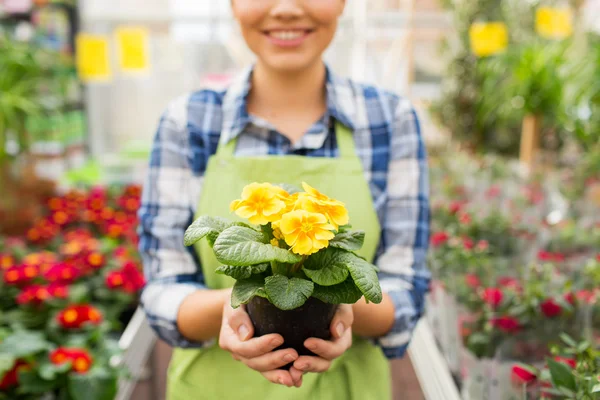 在温室里抱着花的女人的特写 — 图库照片