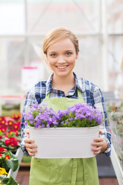 Mulher feliz segurando flores em estufa — Fotografia de Stock