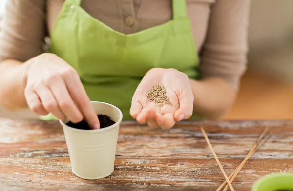 Primo piano di donna che semina semi a terreno in vaso — Foto Stock