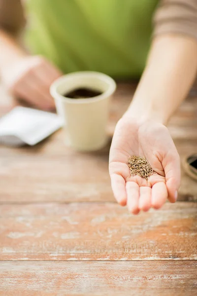 Close up of woman hand holding seeds — Stock Photo, Image