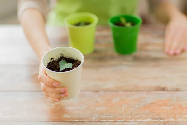 Close up of woman hand holding pot with sprout — Stock Photo, Image