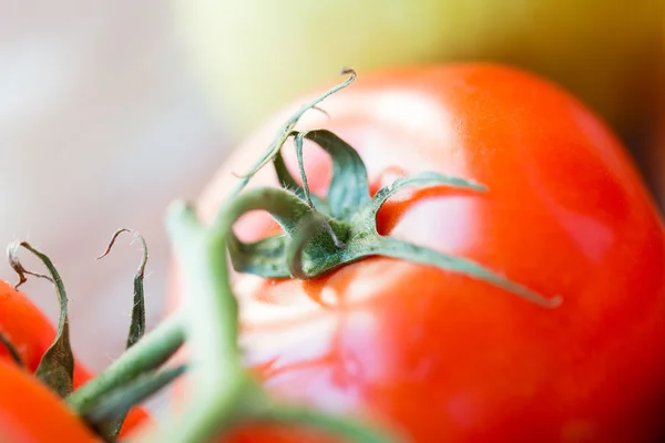 Close up de tomates vermelhos suculentos maduros — Fotografia de Stock