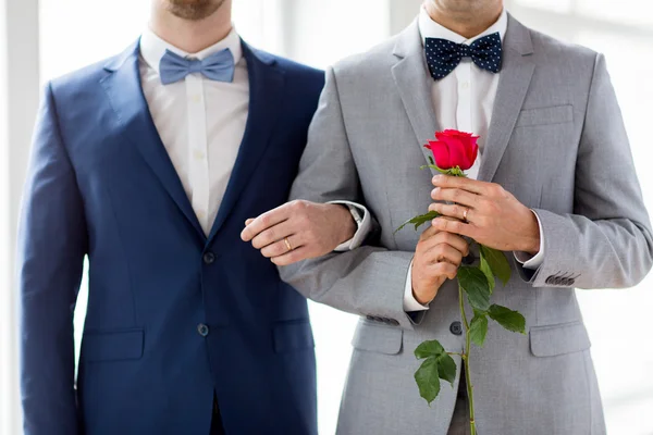 Närbild av glada manliga homosexuella par håller hand — Stockfoto