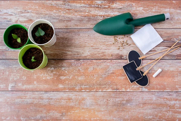 Close up of seedlings, trowel and nameplates — Stock Photo, Image