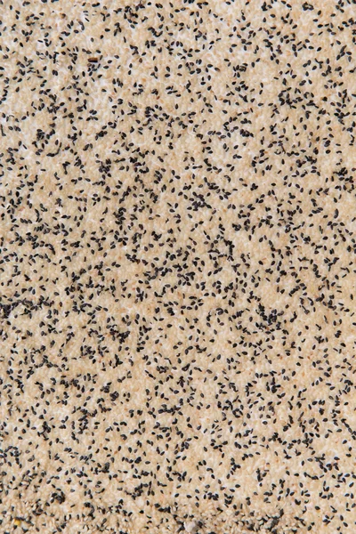 Textura de sementes de sésamo — Fotografia de Stock