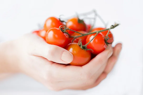 Primo piano di mani di donna che tengono pomodori ciliegia — Foto Stock