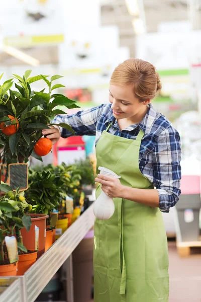 Lycklig kvinna röra mandarin träd i växthus — Stockfoto