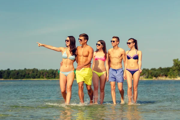 Amis souriants dans des lunettes de soleil sur la plage d'été Images De Stock Libres De Droits