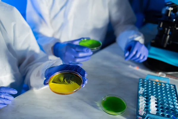 Primer plano de los científicos con muestras de ensayo en laboratorio — Foto de Stock