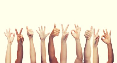 human hands showing thumbs up, ok and peace signs clipart