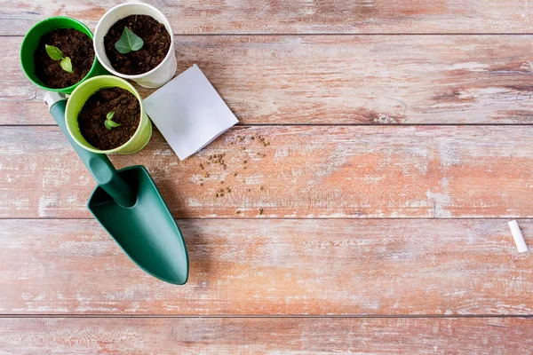 Close up of seedlings, trowel and seeds — Stock Photo, Image