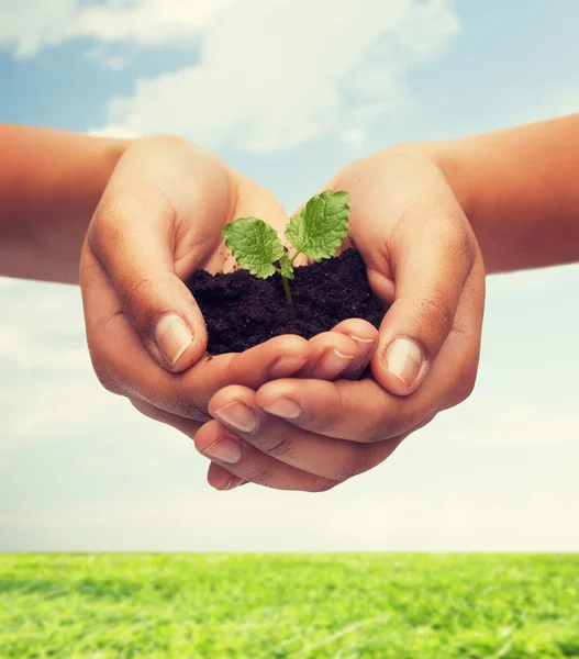 Mujer manos sosteniendo planta en el suelo — Foto de Stock