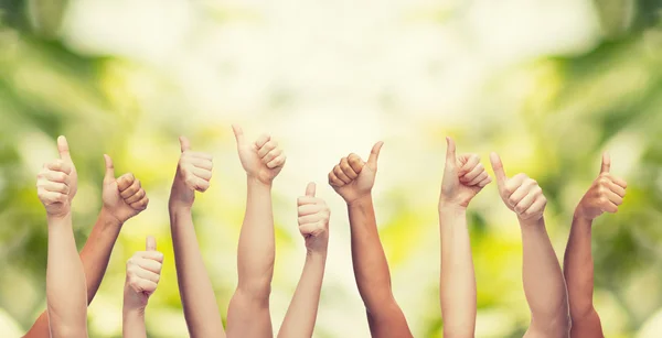 Human hands showing thumbs up — Stock Photo, Image