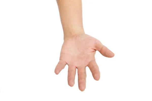 Ανθρώπινο χέρι ή ο φοίνικας — Φωτογραφία Αρχείου