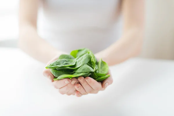 Primo piano delle mani della donna che tengono gli spinaci — Foto Stock