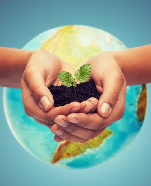 Woman hand with green sprout over earth globe — Stock Photo, Image