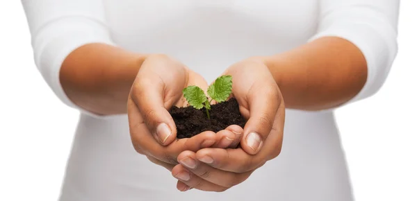 Mulher mãos segurando planta no solo — Fotografia de Stock