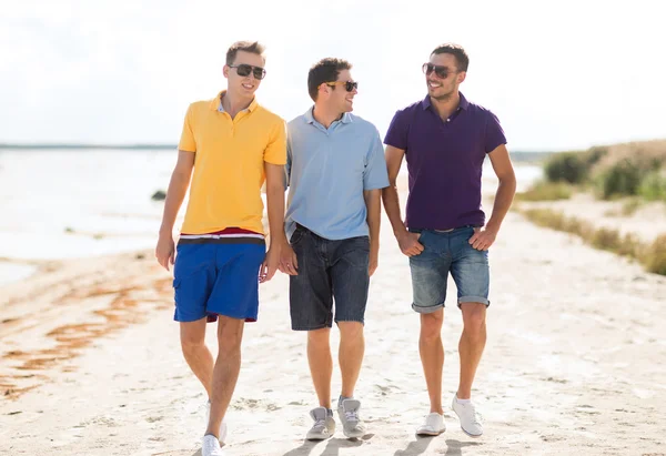 Smiling friends in sunglasses walking along beach — Stock Photo, Image