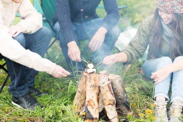 Primer plano de los excursionistas asando malvavisco en el fuego — Foto de Stock