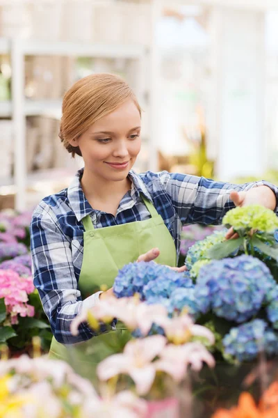 Lycklig kvinna ta hand om blommor i växthus — Stockfoto