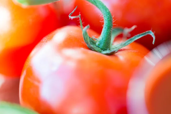 Zamknij się dojrzałe pomidory w soczysty czerwony — Zdjęcie stockowe