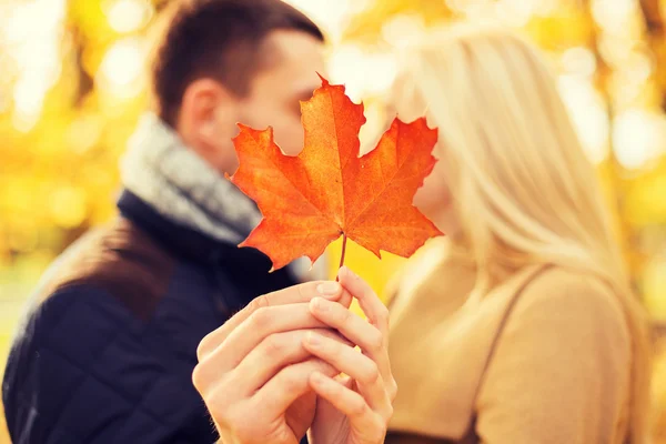 Close up of couple kissing in autumn park — Stock Photo, Image