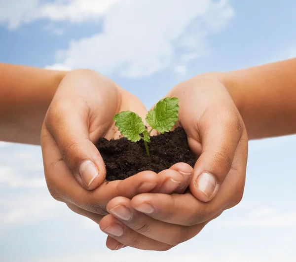 Woman hands holding plant in soil — Stock Photo, Image