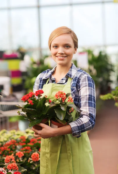 Mulher feliz segurando flores em estufa — Fotografia de Stock