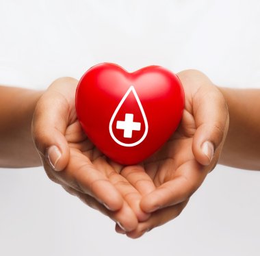 female hands holding red heart with donor sign clipart