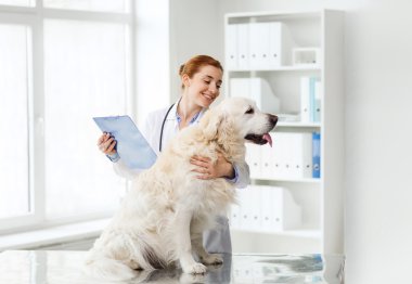 happy doctor with retriever dog at vet clinic clipart