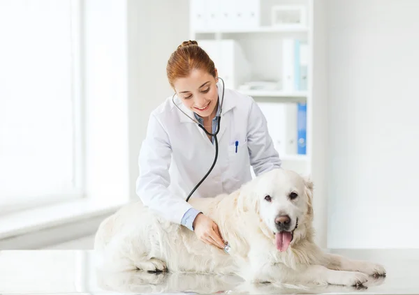 Щаслива жінка з собакою і лікарем у ветеринарній клініці — стокове фото