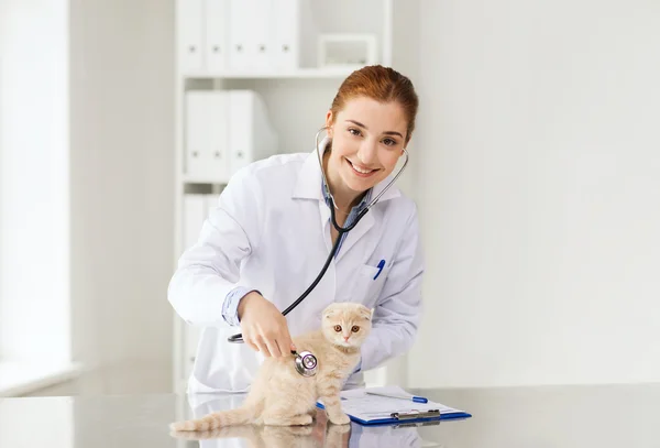 Happy veterinarian with kitten at vet clinic — Stock Photo, Image