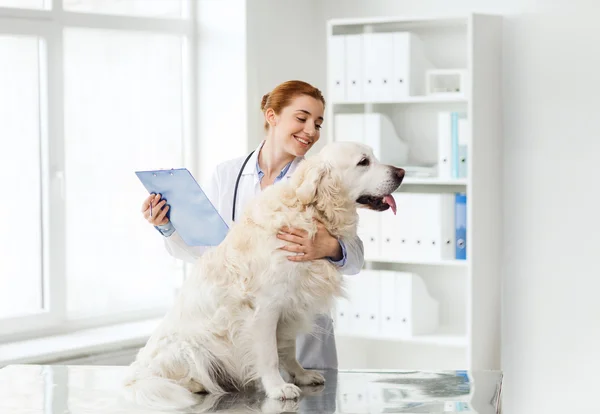 Médico feliz com cão retriever na clínica veterinária — Fotografia de Stock