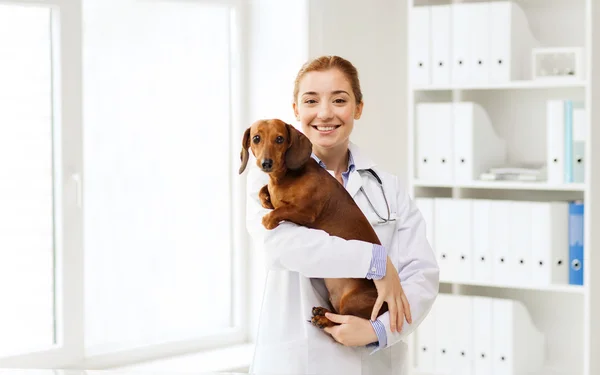 Happy doctor with dog at vet clinic — Stock Photo, Image