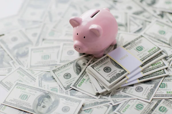 Close up of american dollar money and piggy bank — Stock Photo, Image