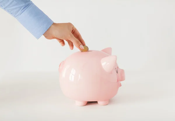 Close up of hand putting coin to piggy bank — Stock Photo, Image