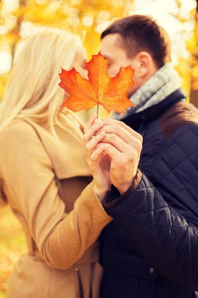 Close up of couple kissing in autumn park — Stock Photo, Image