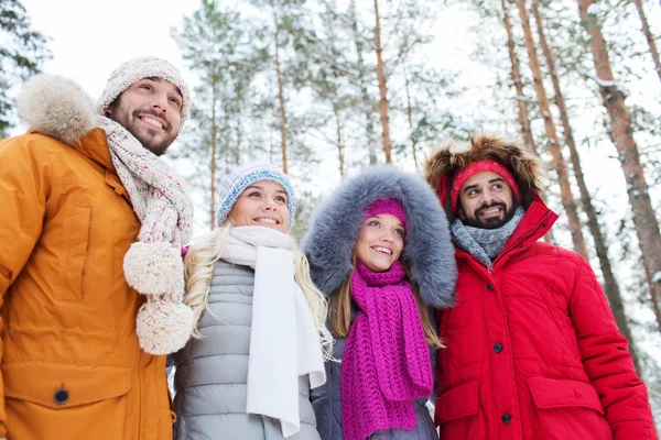 Grupo de hombres y mujeres sonrientes en el bosque de invierno — Foto de Stock