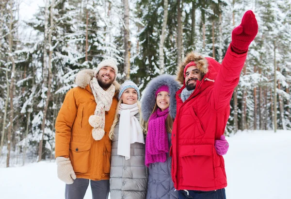 Grupo de homens e mulheres sorridentes na floresta de inverno — Fotografia de Stock