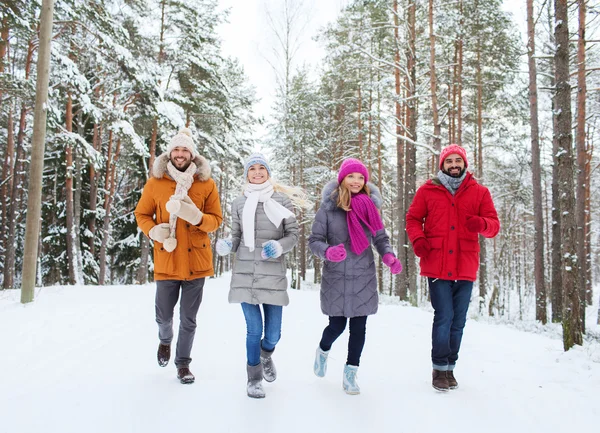 Gruppe smilende menn og kvinner i vinterskogen – stockfoto